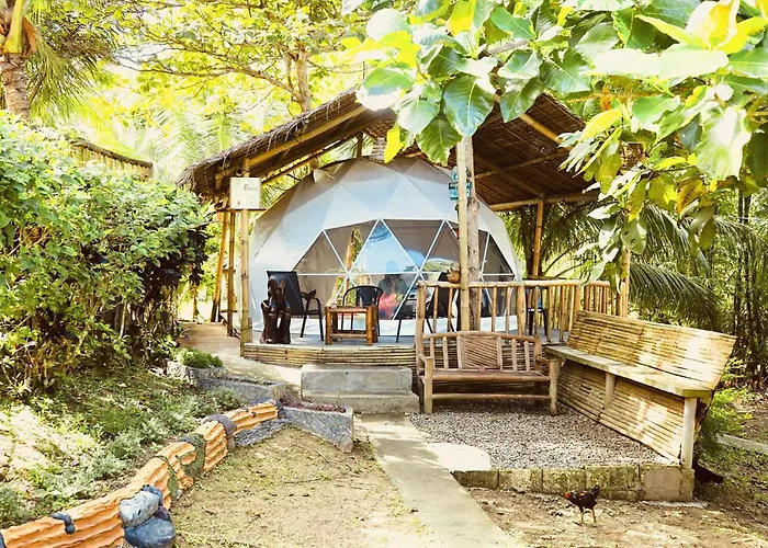 Eco Glamping Treehouses Closest Resort To All Tourist Attractions