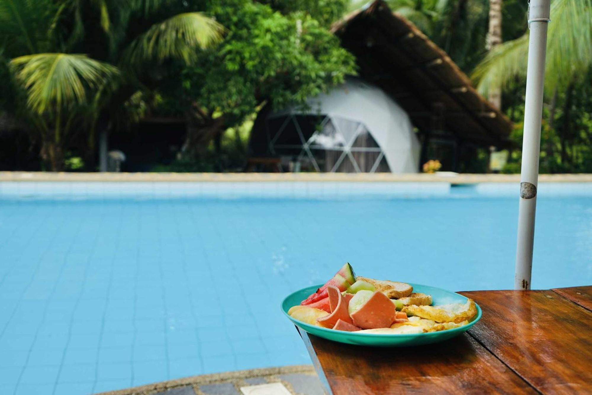 Eco Glamping Treehouses Closest To Tourist Attractions