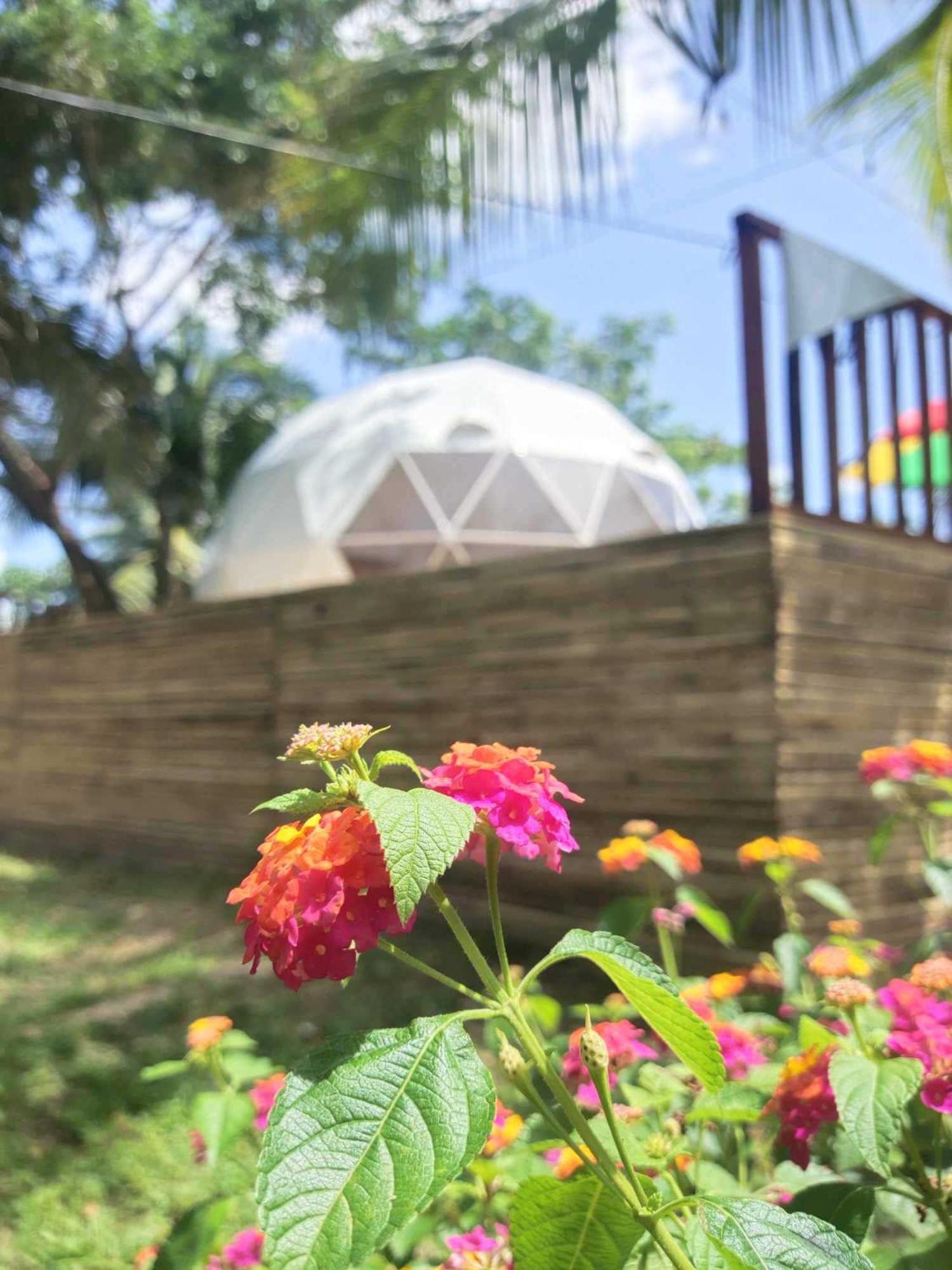 Eco Glamping Treehouses Closest To Tourist Attractions *