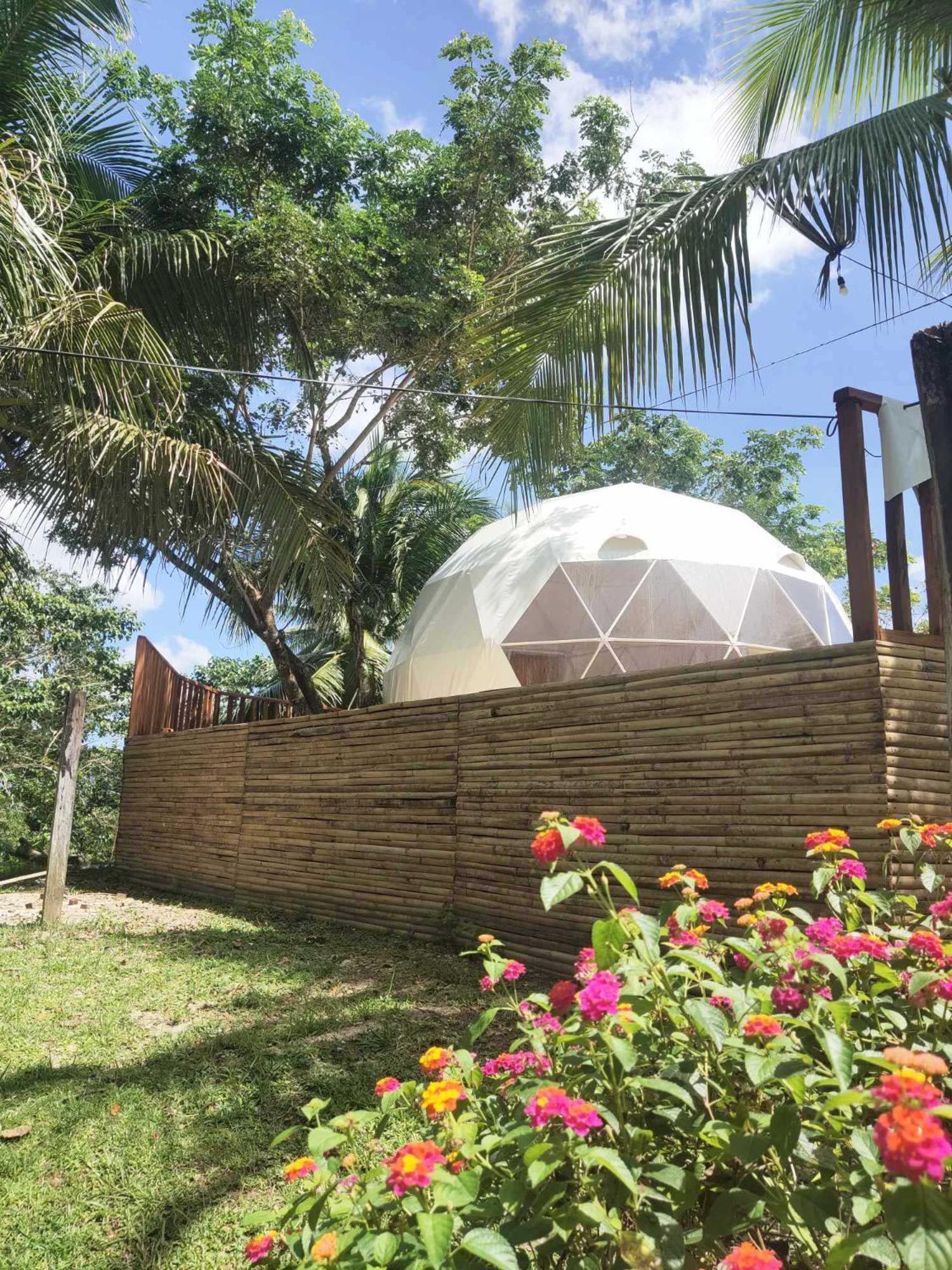 Eco Glamping Treehouses Closest To Tourist Attractions *