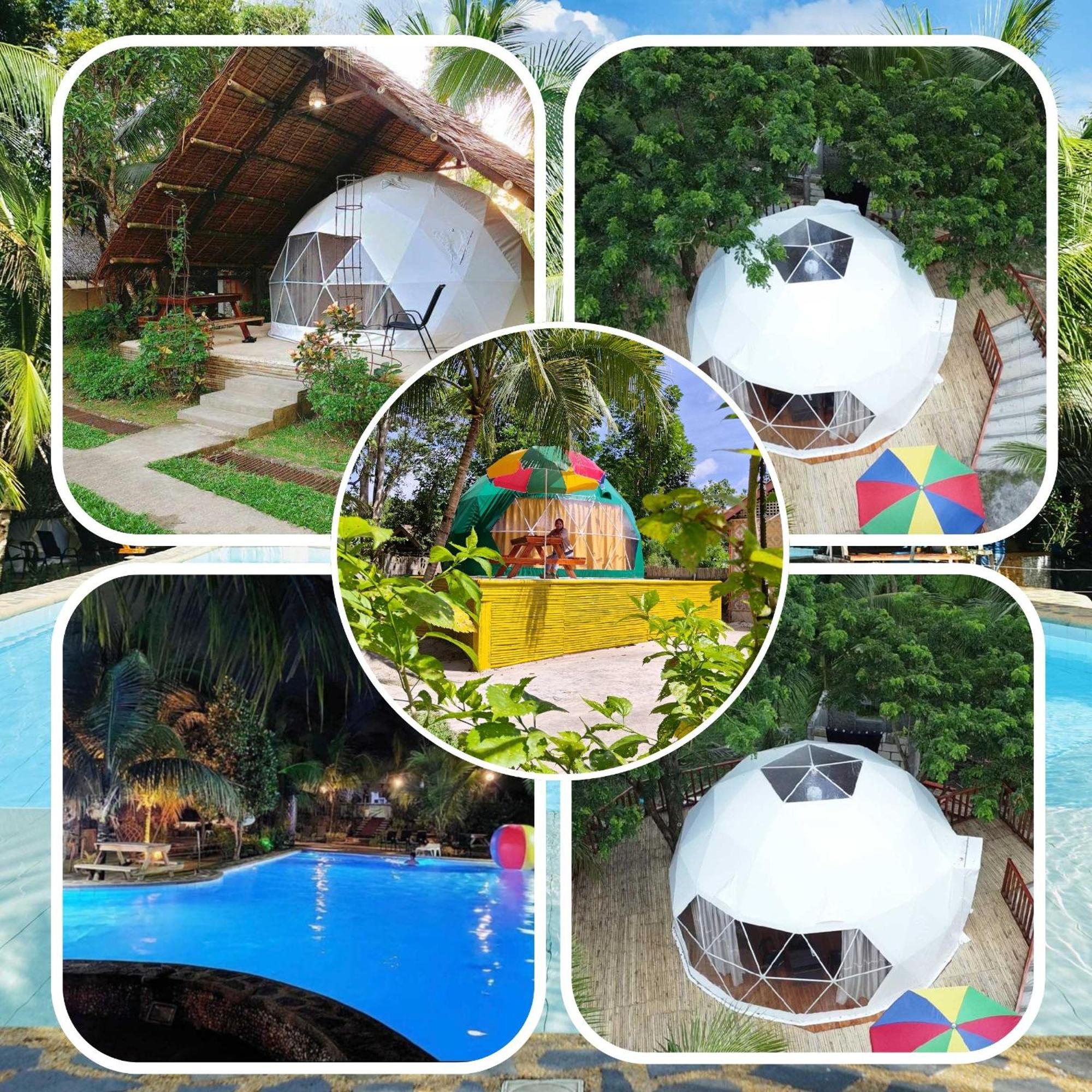 Eco Glamping Treehouses Closest To Tourist Attractions *
